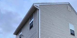 Best Custom Trim and Detailing for Siding  in Lamar, SC